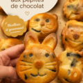 Un gâteau au yaourt aux pépites de chocolat, moelleux et parfumé, présenté sur une assiette