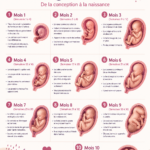 Une femme enceinte souriante, se caressant le ventre, symbole de la maternité