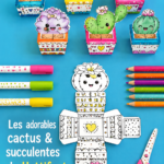 Des cactus colorés et des succulentes dans un pot, parfaits pour une décoration intérieure.