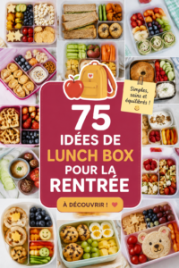 Lunch box colorées et saines pour enfants