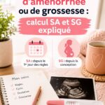 Une illustration montrant un calendrier avec des indicateurs de semaine d'aménorrhée et de grossesse.