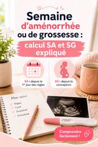 Une illustration montrant un calendrier avec des indicateurs de semaine d'aménorrhée et de grossesse.