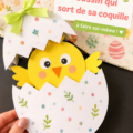 Un poussin nouveau-né sortant de sa coquille, symbole de vie et de tendresse.