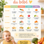 Tableau d'alimentation pour bébé coloré et ludique