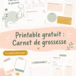 Carnet de grossesse imprimable avec des pages organisées et colorées.