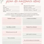 Modèle de plan de naissance personnalisé à remplir.