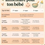 Plan nutritionnel pour nourrissons, mettant en avant des repas sains et équilibrés