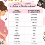 Image illustrant la planification d'une grossesse avec un calendrier et des outils de suivi de cycle.
