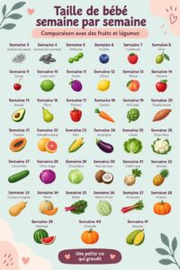 Comparaison de la taille d'un bébé avec différents fruits et légumes.